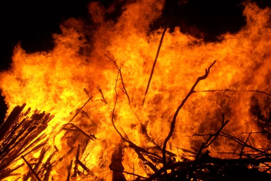 Fire Erupts in Chamundi Hills, Destroying Vast Forest Tracts