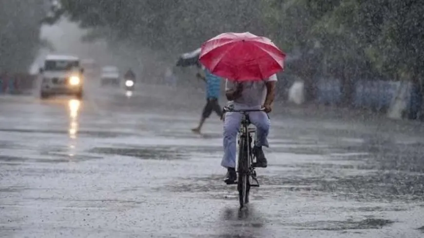 Light Rain and Thunderstorms Likely in Several Karnataka Districts This Week