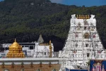 Tirumala Flooded With Pilgrims; 15-Hour Wait for Free Darshan